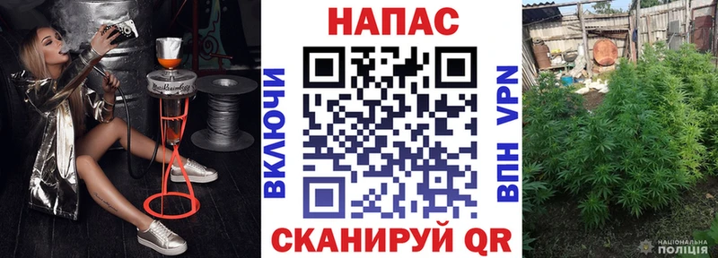 Купить закладку Каннабис  Cocaine  ГАШ  А ПВП  МДМА  Меф  Саки
