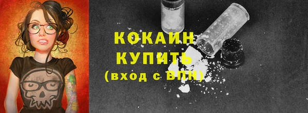 бошки Богородицк