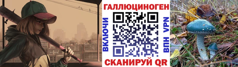 Купить где  Саки  Галлюциногенные грибы Psilocybe 